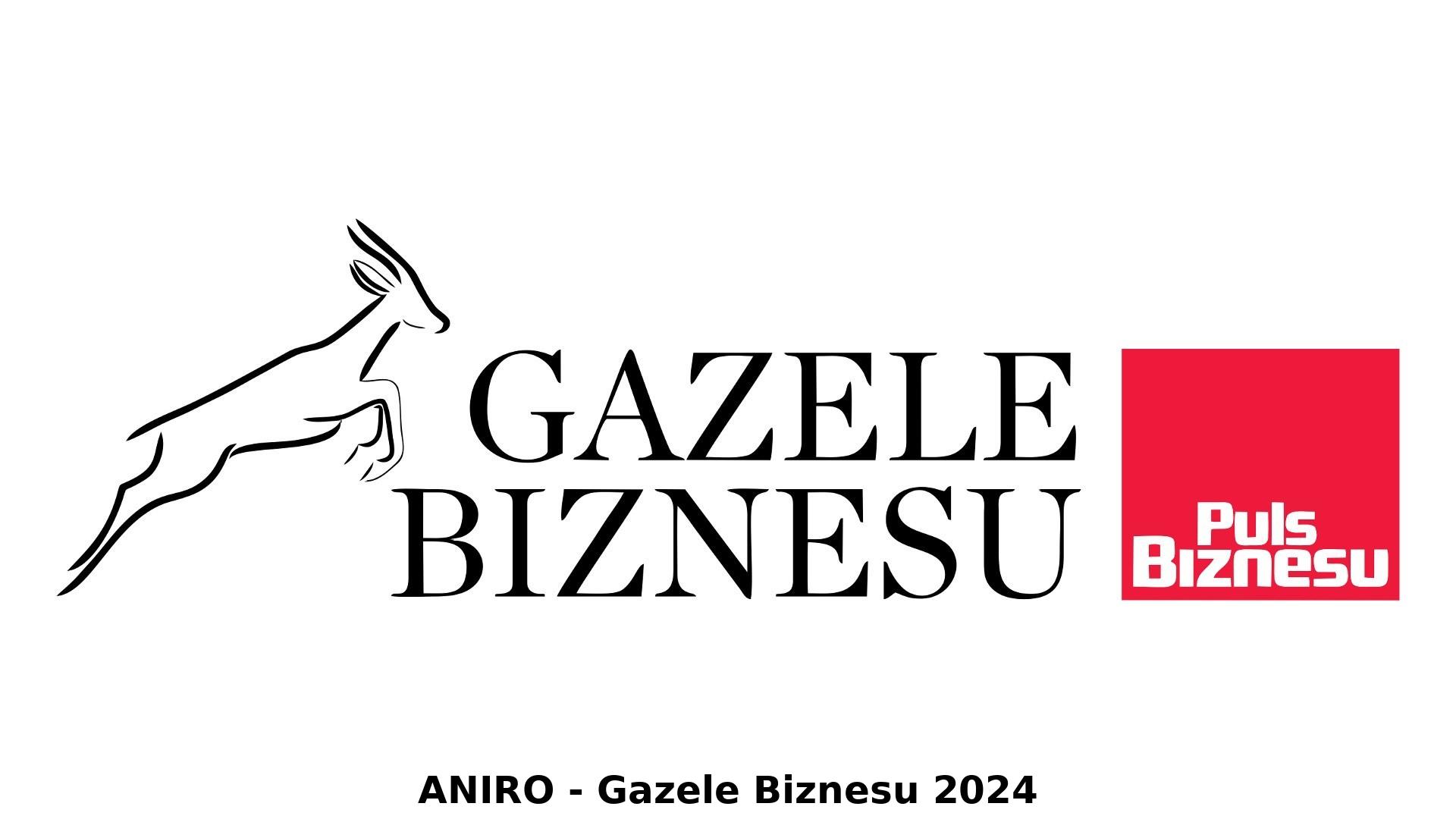 ANIRO wśród najlepszych – wyróżnienie w rankingu „Gazele Biznesu 2024”