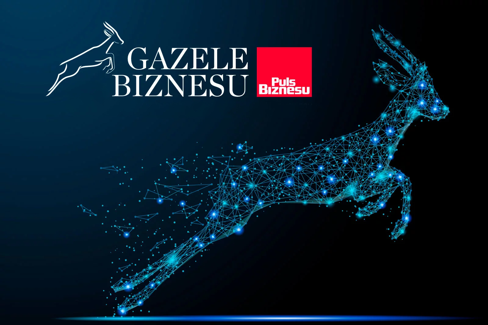 ANIRO wśród najlepszych – wyróżnienie w rankingu „Gazele Biznesu 2024”